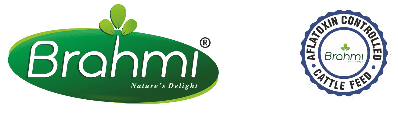 Brahmi Cattle Feed