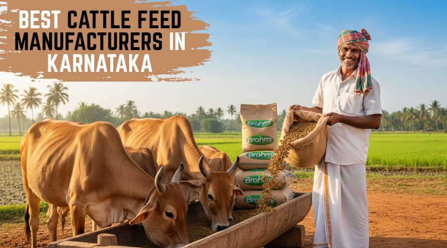 Best Cattle Feed Manufacturers in Karnataka