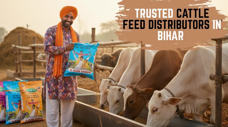 Trusted Cattle Feed Distributors in Bihar