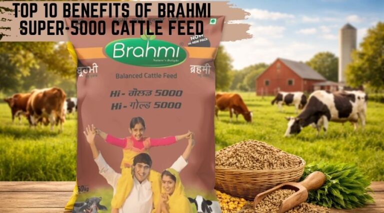 Top 10 Benefits of Brahmi Super-5000 Cattle Feed