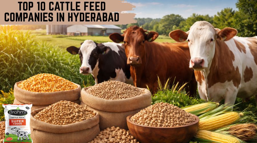 Top 10 Cattle Feed Companies in Hyderabad