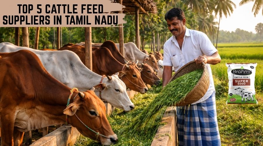 Top 5 Cattle Feed Suppliers in Tamil Nadu