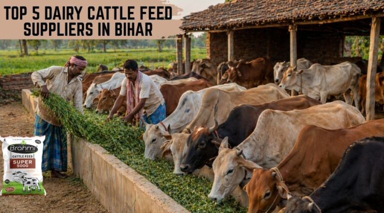Top 5 Dairy Cattle Feed Suppliers in Bihar