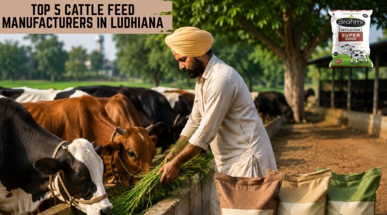 Top 5 Cattle Feed Manufacturers in Ludhiana