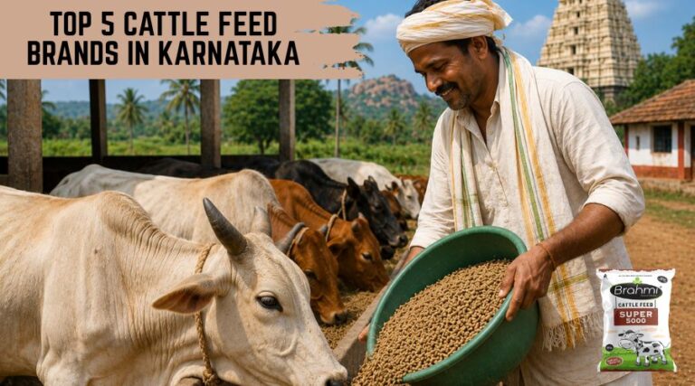 Cattle Feed Brands in Karnataka