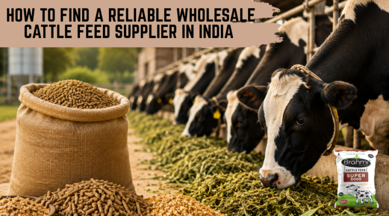 Wholesale Cattle Feed Supplier in India