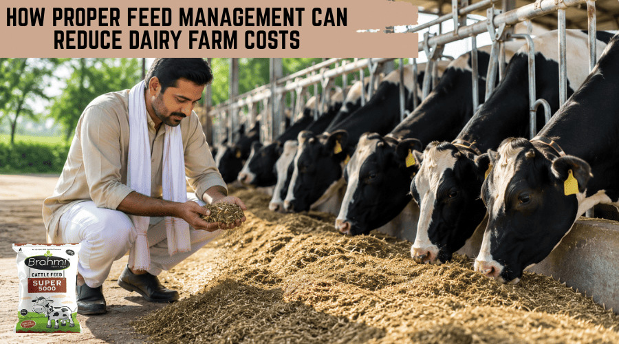 Proper Feed Management