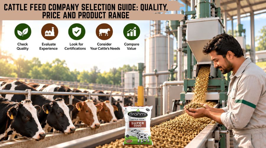 Cattle Feed Company
